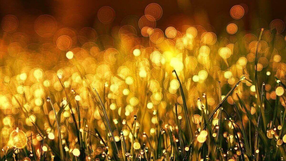 Gold kaufen - Der umfassende Leitfaden zum Kauf von Gold: Alles, was Sie wissen müssen - Joyes Boutique